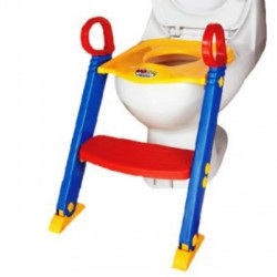 Potty Seat and ladder