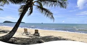 palm cove
