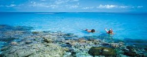 port douglas diving